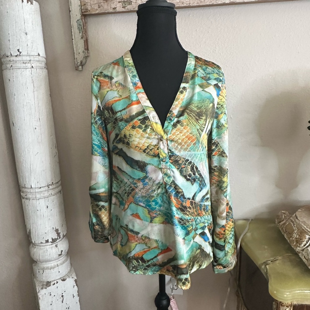 Posh Green and Blue Relaxed Graphic Blouse with Dolman Sleeves